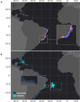 Predicted Shifts in the Distributions of Atlantic Reef-Building Corals in the Face of Climate Change